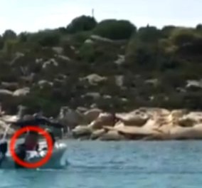 Απίστευτο βίντεο: 10χρονο παιδί οδηγεί σκάφος στη Χαλκιδική μόνο του & προκαλεί αντιδράσεις   - Κυρίως Φωτογραφία - Gallery - Video