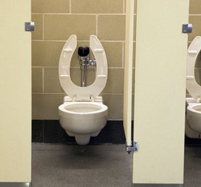 Quiz: Τι μπορείς να βρείς σε μια τουαλέτα στην Αυστραλία; Θηλαστικό, η βοήθεια του κοινού  - Κυρίως Φωτογραφία - Gallery - Video