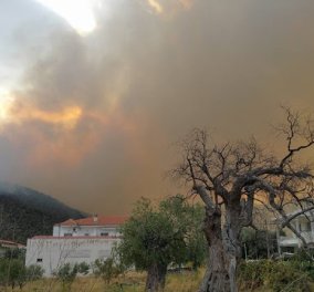 "Πύρινη κόλαση" στη Θάσο - Για 2η ημέρα ανεξέλεγκτη η μεγάλη πυρκαγιά - Κάηκαν 13 σπίτια, απειλούνται χωριά - Κυρίως Φωτογραφία - Gallery - Video
