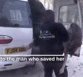 Βίντεο: Ο αβάσταχτος πόνος του πολέμου- Η 10χρονη Ντόχα από το Χαλέπι...