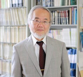 To Νόμπελ Ιατρικής 2016 στον Ιάπωνα Γιοσινόρι Οσούμι: Έδωσε την απάντηση στην πείνα, τις λοιμώξεις, τον καρκίνο & το Πάρκινσον - Κυρίως Φωτογραφία - Gallery - Video