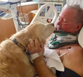 Η γενναία σκυλίτσα Κέλσι έσωσε τη ζωή του αφεντικού της - Ακούραστη, τον κράτησε ζεστό μέσα στην παγωνιά για 20 ώρες