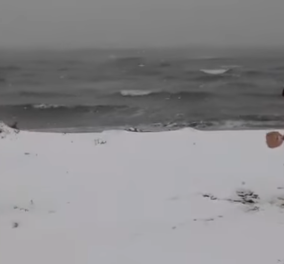 Αυτοί είναι άνδρες: Έπαιξαν ρακέτες με μαγιό σε χιονισμένη παραλία της Θεσσαλονίκης 