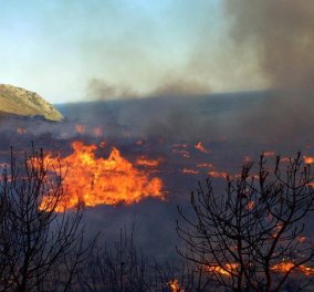 Ζάκυνθος: Μεγάλη δασική πυρκαγία στις Μαριές - Κυρίως Φωτογραφία - Gallery - Video