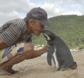 Story of the Day: Ένας πιγκουίνος ταξιδεύει κάθε χρόνο 5.000 μίλια για να ξαναδεί τον ψαρά που τον έσωσε (Φωτό - Βίντεο)
