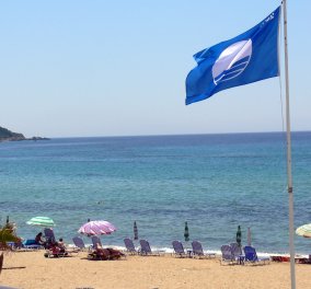 Ρεκόρ η Χαλκιδική: Όλες οι 486 Γαλάζιες Σημαίες της Ελλάδας - Η λίστα των παραλιών του 2017 - Κυρίως Φωτογραφία - Gallery - Video