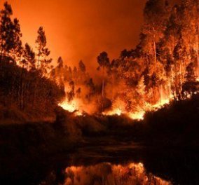 Φωτιά- Φονιάς με 62 νεκρούς στα δάση της Πορτογαλίας - Δεκάδες κάηκαν μέσα στα αυτοκίνητά τους (Φωτό-Βίντεο)