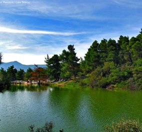 Η "μυστική" λίμνη Μπελέτσι βρίσκεται στην Αθήνα & μοιάζει εξωτική: Με πάπιες & καταπράσινο τοπίο - Δείτε φωτό & βίντεο