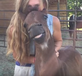 Βιντεάκι : Αυτό το άλογο χαμογελάει και έχει.... αισθήματα όταν το χαϊδεύουν - Κυρίως Φωτογραφία - Gallery - Video