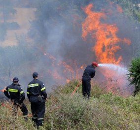 Πυρκαγιά στο Κρυονέρι Αμαλιάδας – Εκκενώνεται το χωριό Ανάληψη 