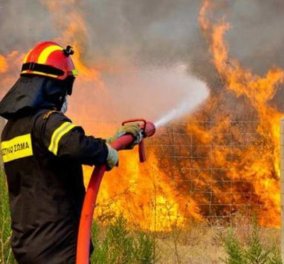 Σε εξέλιξη πυρκαγιά στο Ίλιον Αττικής - Κυρίως Φωτογραφία - Gallery - Video