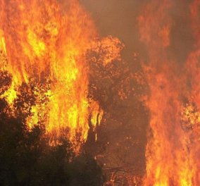 Δραματικές στιγμές στη Ζάκυνθο: Κινδύνεψαν άνθρωποι, κάηκαν περιουσίες - συγκλονιστικές φωτό & βίντεο - Κυρίως Φωτογραφία - Gallery - Video