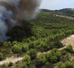 Βίντεο από drone: Το μέτωπο της φωτιάς στην Ανάληψη Ηλείας
