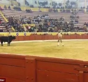 Πορτογαλία: Ταυρομάχος προκάλεσε με γυμνά χέρια τον ταύρο και πέθανε από εσωτερική αιμορραγία (ΒΙΝΤΕΟ)