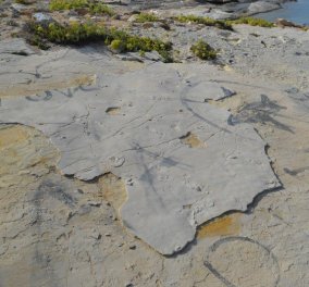 Απίστευτο: Έκλεψαν τις απολιθωμένες πατημασιές ηλικίας 5,7 εκατ. χρόνων στην Κρήτη