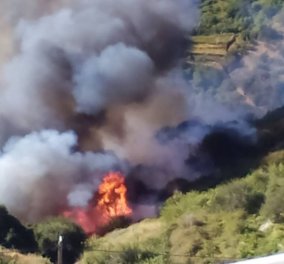Στις φλόγες η Νάξος – Πυρκαγιά με πολλές εστίες ανάμεσα σε δύο χωριά - φωτό - βίντεο