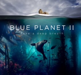 Blue Planet II: το πολυαναμενόμενο ντοκιμαντέρ του BBC Earth κάνει πρεμιέρα αποκλειστικά στην COSMOTE TV  - Κυρίως Φωτογραφία - Gallery - Video