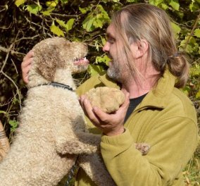 Βρέθηκε η μεγαλύτερη λεύκη τρούφα στην Ελλάδα - ο σκυλάκος Brio ανακάλυψε & ζυγίζει 510 γραμμάρια  - Κυρίως Φωτογραφία - Gallery - Video