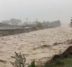 Εντυπωσιακό βίντεο: Φουσκωμένο ποτάμι στην Κατερίνη «καταπίνει» δέντρο - Κυρίως Φωτογραφία - Gallery - Video