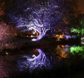 Το μαγικό δάσος των Χριστουγέννων στο Λονδίνο φωτίστηκε πάλι και μοιάζει με παραμύθι - Δείτε ΦΩΤΟ