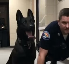 Βίντεο: Γυμναστής - σκύλος «τρελαίνει» στις κάμψεις τους αστυνομικούς - Κυρίως Φωτογραφία - Gallery - Video