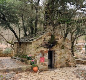 Αγία Θεοδώρα: Το εκκλησάκι "θαύμα" με τα 17 πλατάνια που βγαίνουν από τη στέγη του που μπήκε στο βιβλίο Γκίνες (ΦΩΤΟ- ΒΙΝΤΕΟ)