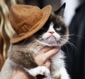 Η Grumpy Cat μόλις κέρδισε 710.000 δολάρια σε δικαστική διαμάχη με εταιρεία αναψυκτικών 