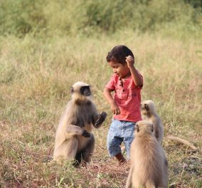 Ο σύγχρονος Μόγλης της Ινδίας: Η ασυνήθιστη φιλία ενός δίχρονου αγοριού με τις μαϊμούδες (ΦΩΤΟ - ΒΙΝΤΕΟ) - Κυρίως Φωτογραφία - Gallery - Video