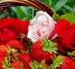 Τριαντάφυλλο & φράουλα πρώτα ξαδέλφια! Πως το DNA τους δείχνει οτι συγγενεύουν