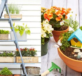 Μικρές ανθισμένες λεπτομέρειες κάνουν μεγάλη διαφορά στον κήπο ή το μπαλκόνι σας! (φωτό)
