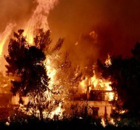 Εισαγγελική παρέμβαση για τις πυρκαγιές στην Αττική - Κυρίως Φωτογραφία - Gallery - Video