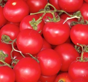 Η Ντίνα Νικολάου προτείνει: Πώς αξιοποιούμε τις ντομάτες του καλοκαιριού 