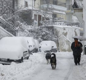 Πρώτες εικόνες και βίντεο με τα χιόνια σε Βασιλίτσα, Παρνασσό, Φθιώτιδα – Καλό χειμώνα!