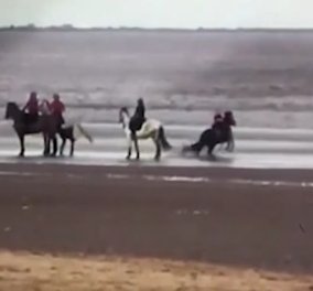 Καρέ - καρέ η στιγμή που το άλογο ρίχνει 9χρονο κορίτσι στο έδαφος - Του  επιτέθηκε  σκύλος - Κυρίως Φωτογραφία - Gallery - Video