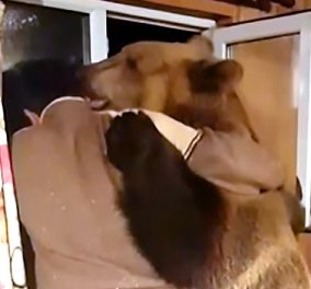 Το βίντεο της ημέρας: Αγαπησιάρα αρκούδα δίνει μια ζεστή αγκαλιά στο αφεντικό της στην Ρωσία   - Κυρίως Φωτογραφία - Gallery - Video