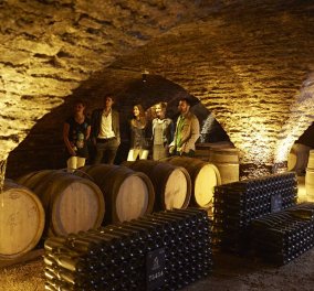 Σπύρος Ρεπούσης: Το κρασί ως εναλλακτική μορφή επένδυσης - Πως το Chateau Lafite του 1982 είχε συνολική απόδοση 857%  - Κυρίως Φωτογραφία - Gallery - Video