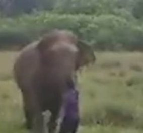 Βίντεο για γερά νεύρα: Ο ελέφαντας πατάει & σκοτώνει τον άνδρα που πάει κοντά του - Ακολουθεί δεύτερος - Κυρίως Φωτογραφία - Gallery - Video