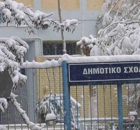 Ποια σχολεία θα είναι κλειστά λόγω της κακοκαιρίας «Τηλέμαχος» - Η λίστα των δήμων σε όλη την Ελλάδα - Κυρίως Φωτογραφία - Gallery - Video