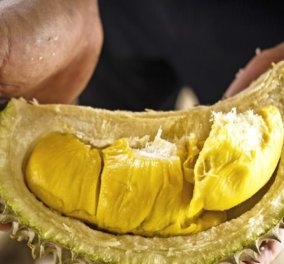 Το πιo βρόμικο φρούτο στον κόσμο το λένε Durian - 1.000 δολάρια για ένα καρπό! Γιατί παιδιά; - Κυρίως Φωτογραφία - Gallery - Video