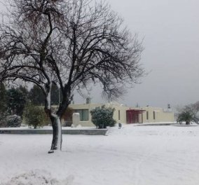 Ποια άνοιξη; Χθες και σήμερα χειμώνας ξανά - 19 βαθμούς έπεσε η θερμοκρασία στη Βόρεια Ελλάδα (φώτο -βίντεο)