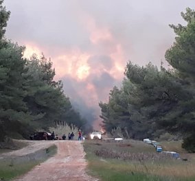 Εφιαλτική νύχτα για τη Στροφυλιά: Εικόνες βιβλικής καταστροφής από την πυρκαγιά που "καταπίνει" το προστατευόμενο δάσος (φώτο-βίντεο)