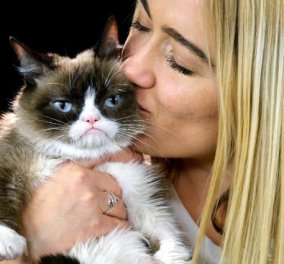 Στους ουρανούς ανέβηκε η πιο διάσημη γάτα του διαδικτύου – Η γαλανομάτα Grumpy Cat πέθανε από ουρολοίμωξη - Κυρίως Φωτογραφία - Gallery - Video