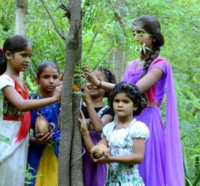 Story of the day: Το χωριό στην Ινδία που, κάθε φορά που γεννιέται ένα κορίτσι, φυτεύει 111 δέντρα