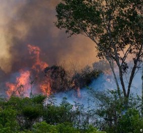 «Αμαζόνιος SOS»: Ο Μπολσονάρου υπογράμμισε πως δεν υπάρχουν πόροι για την αντιμετώπιση των πυρκαγιών  - Κυρίως Φωτογραφία - Gallery - Video