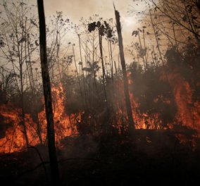 Ο αρχηγός των Ινδιάνων απευθύνει παγκόσμια έκκληση: Να ξεφορτωθούμε τον Μπολσονάρου, θέλει να καταστρέψει εμάς & το δάσος - Κυρίως Φωτογραφία - Gallery - Video