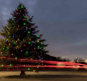 Τα πιο ωραία χριστουγεννιάτικα δέντρα στις Η.ΠΑ. - Εκεί που ξοδεύουν 3 δισ. δολάρια το χρόνο για έλατο! (φώτο)  - Κυρίως Φωτογραφία - Gallery - Video