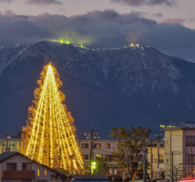 Good News: Να δείτε το Χριστουγεννιάτικο δένδρο με 51.626 κάρτες - Πήρε ρεκόρ Γκίνες 