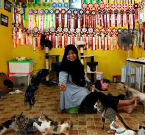 Ζευγάρι της Ινδονησίας έσωσε 250 γάτες & τώρα ζουν όλοι μαζί σαν μια οικογένεια 