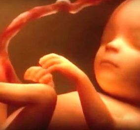 Βίντεο: Το θαύμα της γέννησης - Η ζωή στη μήτρα - Οι εννέα μήνες μέχρι να βγούμε στον κόσμο σε 4 λεπτά