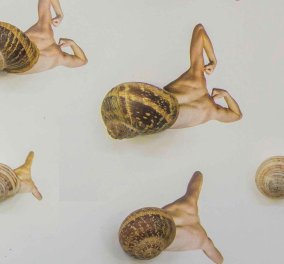 Αριστουργηματική η φωτογραφική σύλληψη του Τάσου Βρεττού: Τα σαλιγκάρια βγαίνουν από το καβούκι τους παντοδύναμα με σώματα αθλητών - Δείτε φωτό